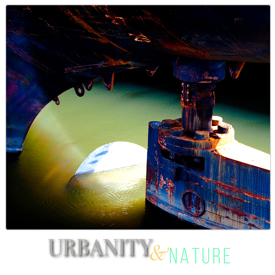 URBANITY & NATURE