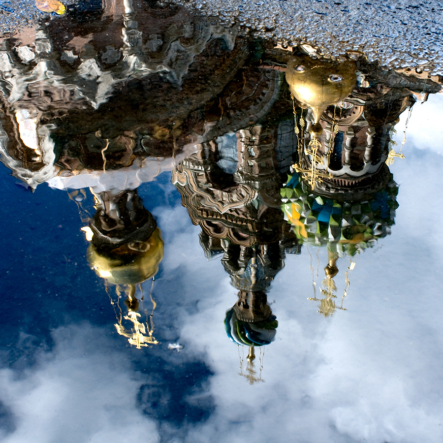 Collection Urbanité et Nature MONDES CACHÉS | Urbanity & Nature Collection HIDDEN WORLDS