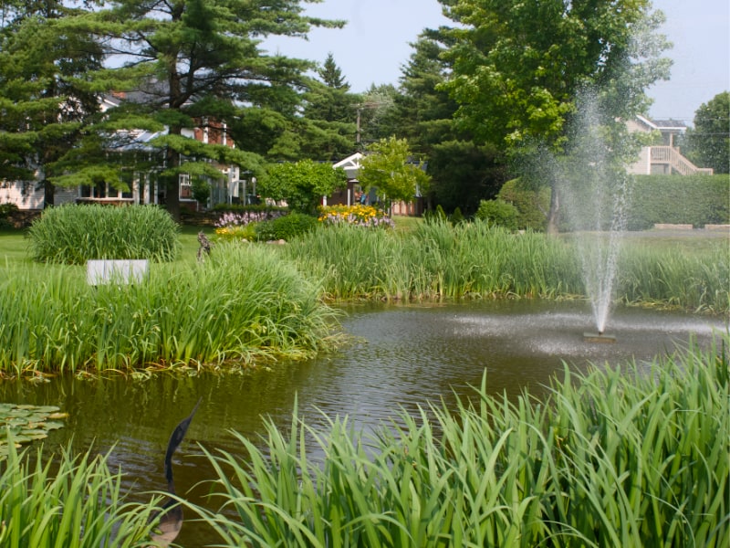Vivre l'été en ville | Living summer in the city