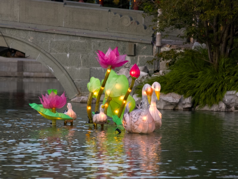Vivre l'été en ville | Living summer in the city