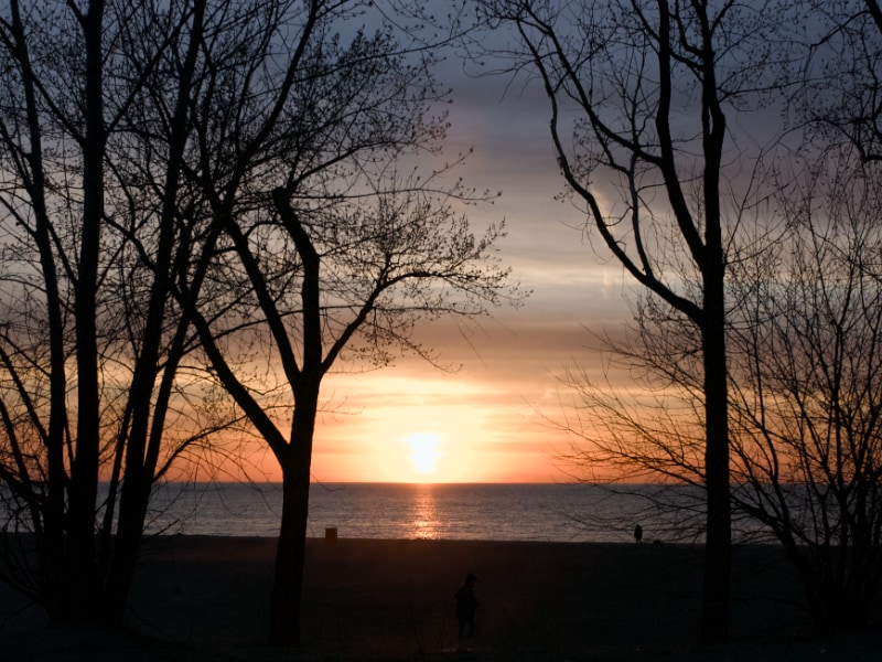 Vivre l'été en ville | Living summer in the city