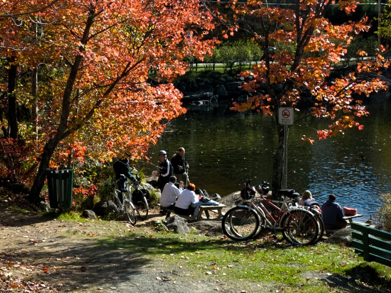 Vivre l'été en ville | Living summer in the city
