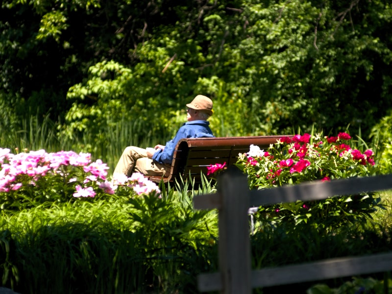 Vivre l'été en ville | Living summer in the city