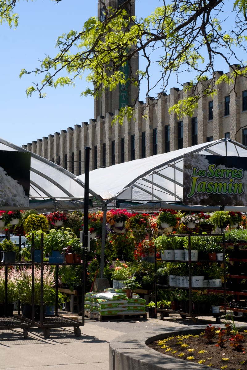 Vivre l'été en ville | Living summer in the city